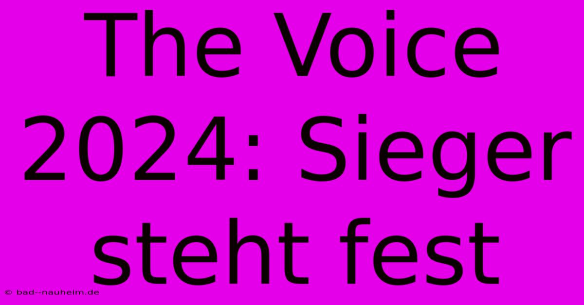 The Voice 2024: Sieger Steht Fest