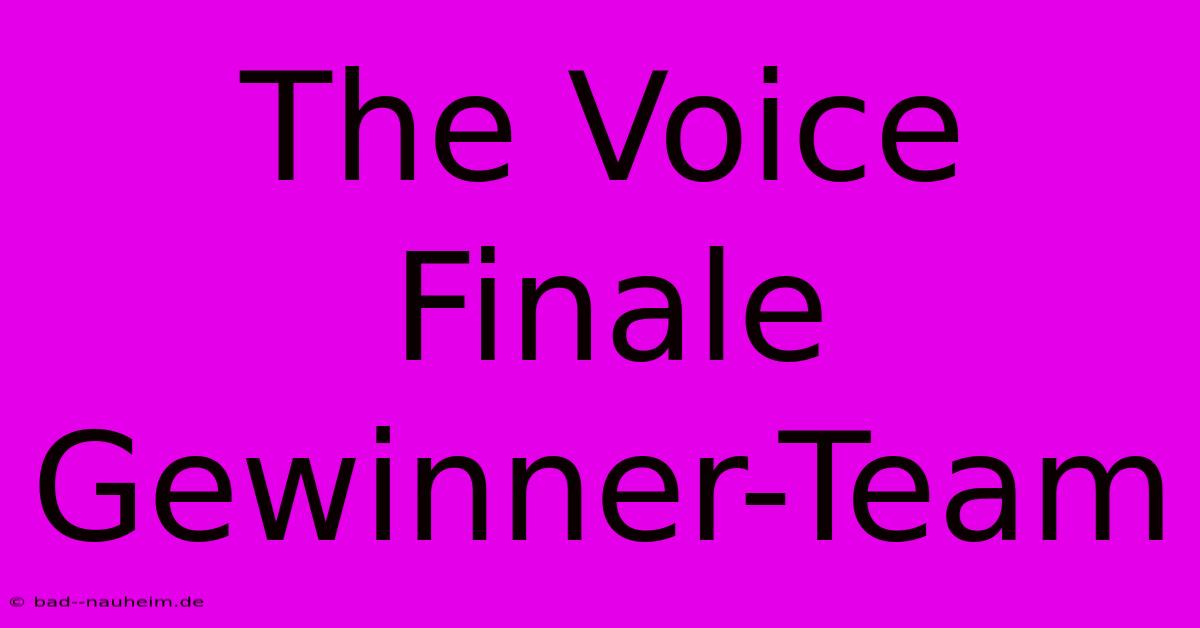 The Voice Finale Gewinner-Team