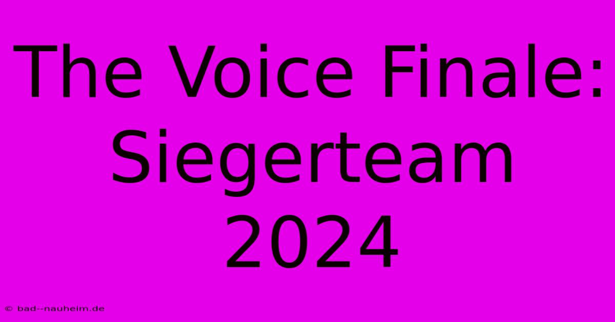 The Voice Finale: Siegerteam 2024