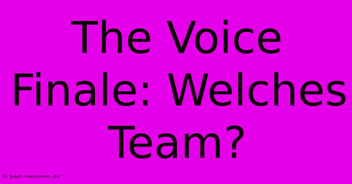 The Voice Finale: Welches Team?