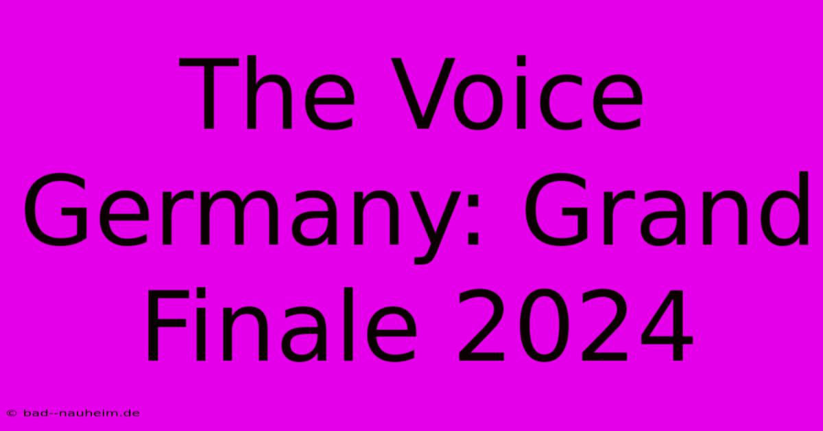 The Voice Germany: Grand Finale 2024