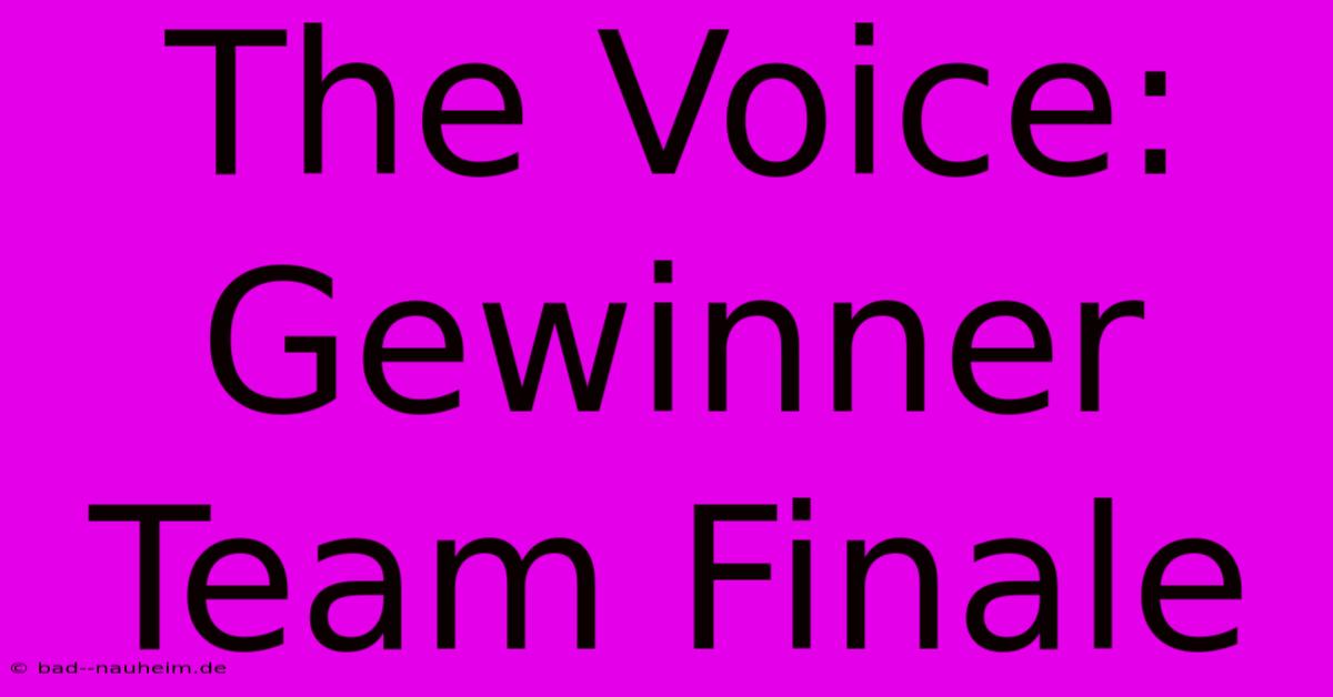 The Voice: Gewinner Team Finale