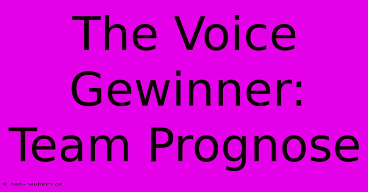 The Voice Gewinner: Team Prognose