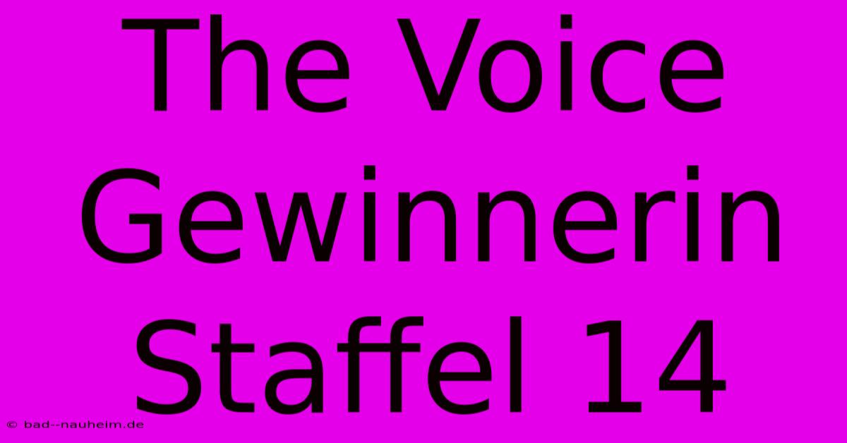 The Voice Gewinnerin Staffel 14