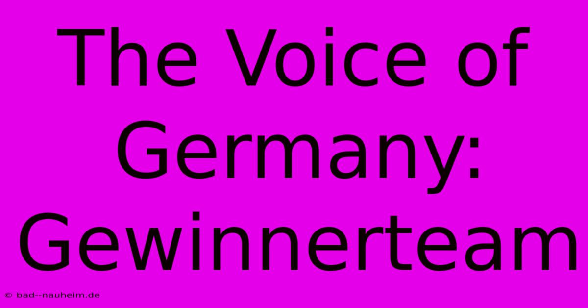 The Voice Of Germany: Gewinnerteam