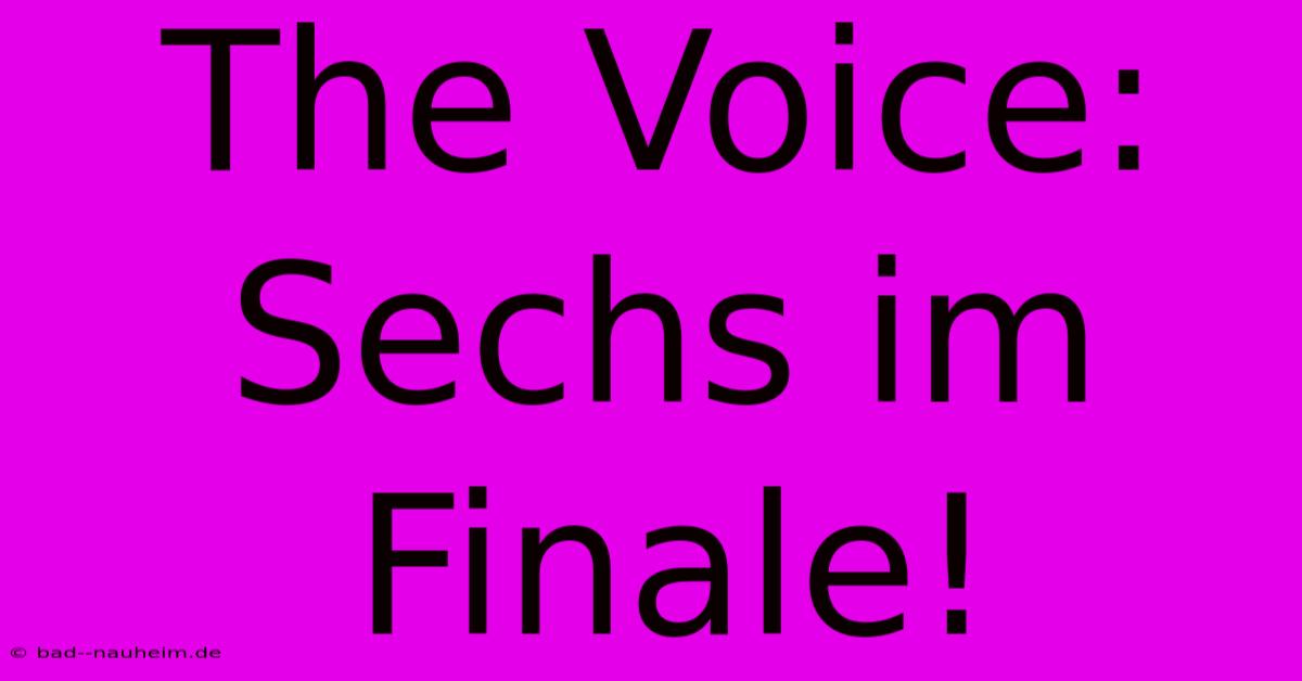 The Voice: Sechs Im Finale!