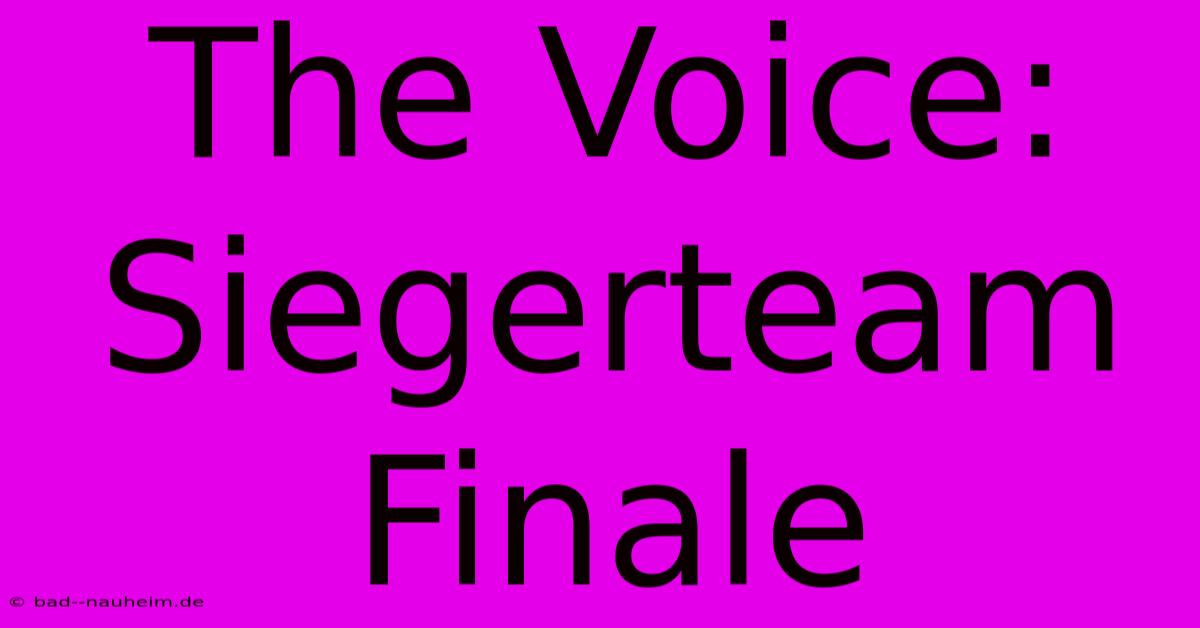 The Voice: Siegerteam Finale