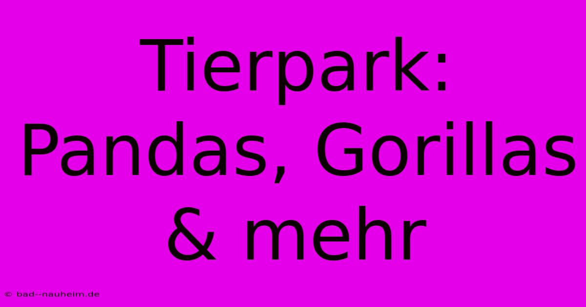 Tierpark: Pandas, Gorillas & Mehr