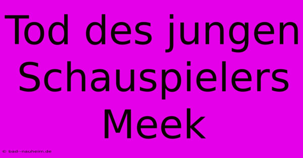 Tod Des Jungen Schauspielers Meek