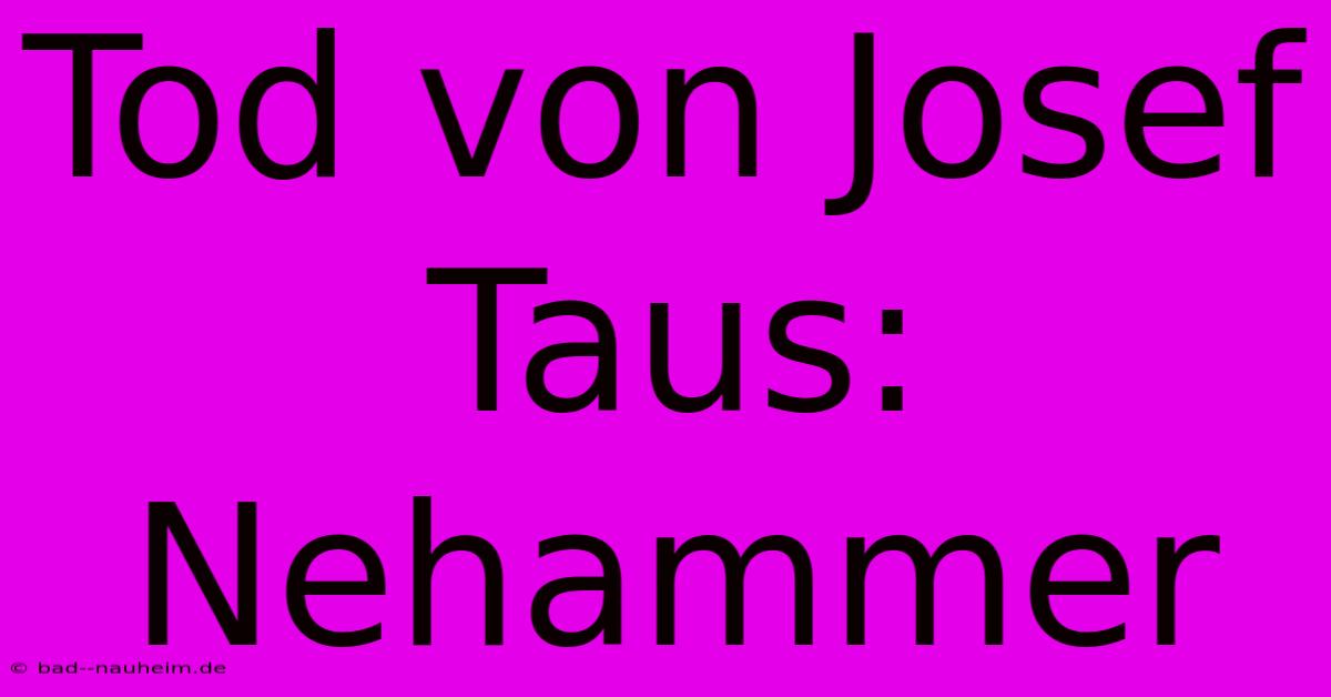 Tod Von Josef Taus: Nehammer