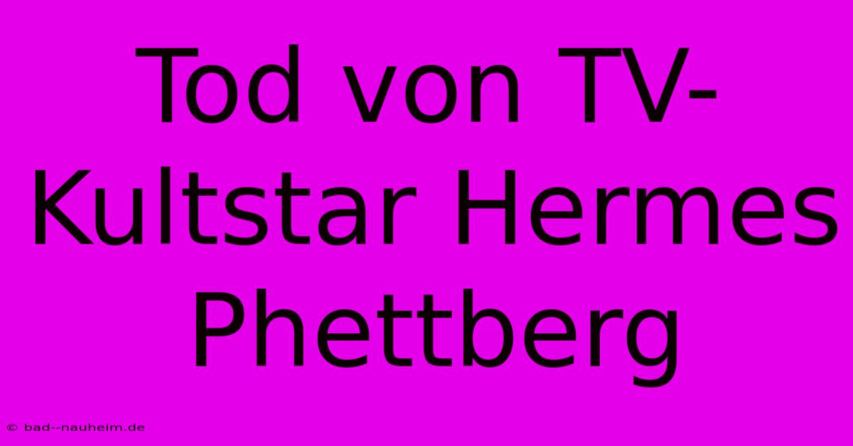 Tod Von TV-Kultstar Hermes Phettberg