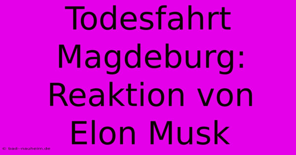 Todesfahrt Magdeburg: Reaktion Von Elon Musk