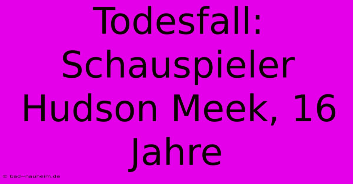 Todesfall: Schauspieler Hudson Meek, 16 Jahre