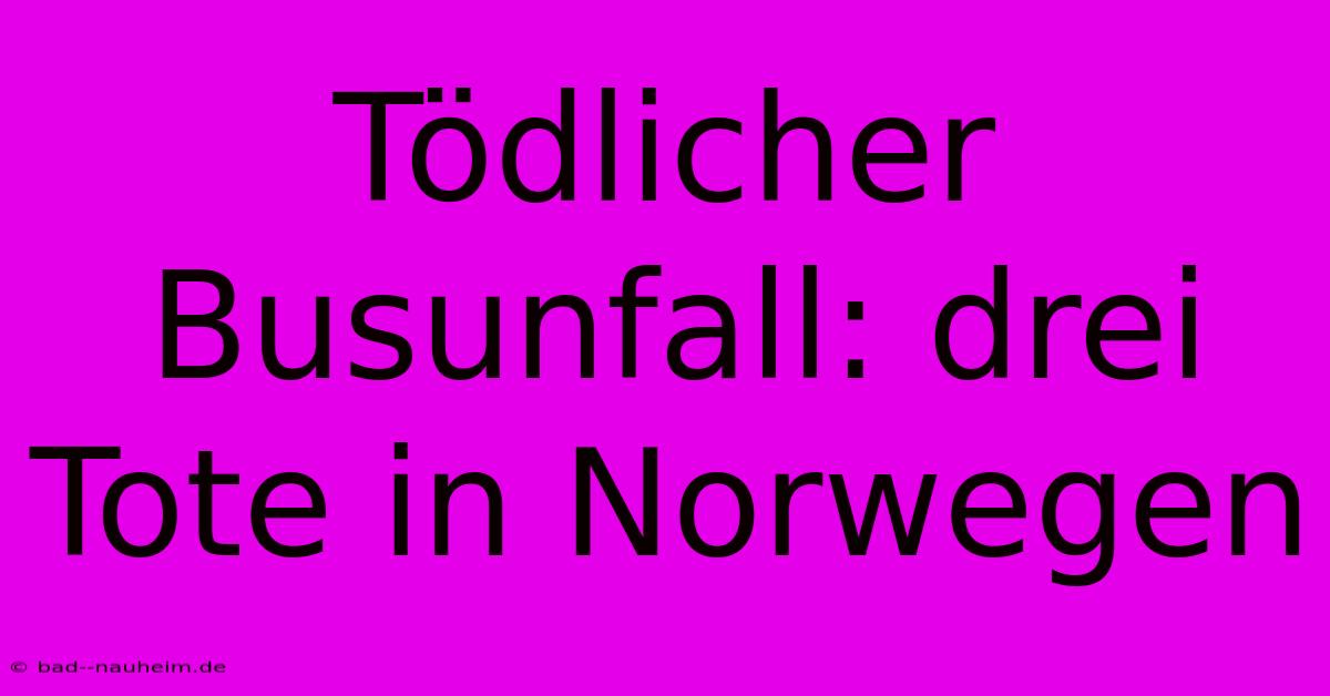 Tödlicher Busunfall: Drei Tote In Norwegen