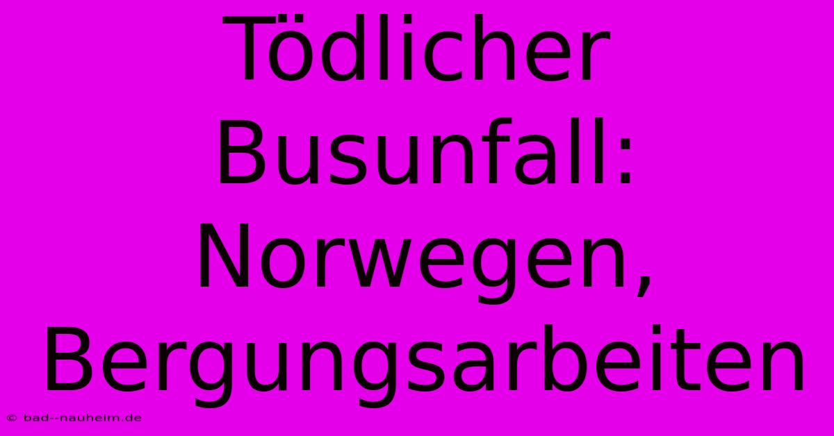 Tödlicher Busunfall: Norwegen, Bergungsarbeiten