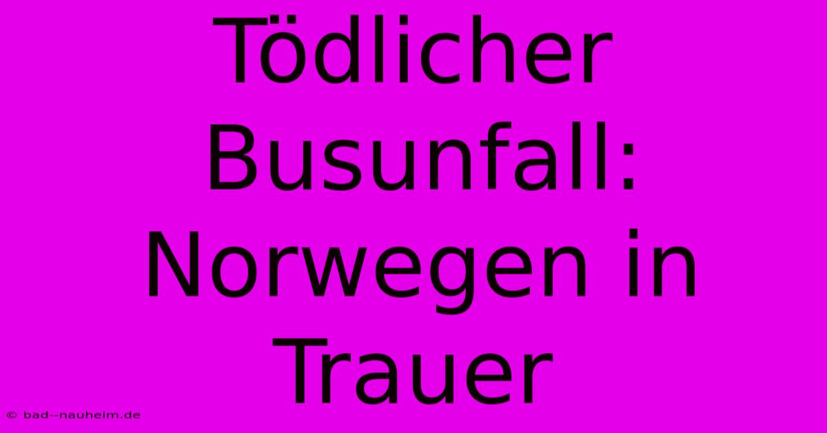 Tödlicher Busunfall: Norwegen In Trauer