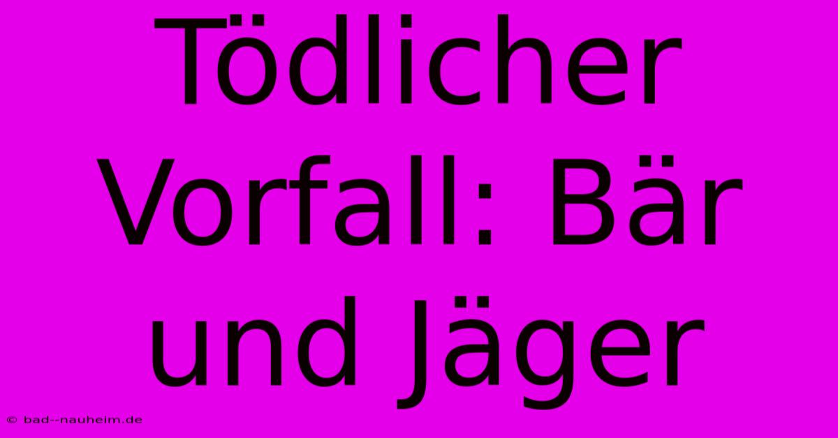 Tödlicher Vorfall: Bär Und Jäger