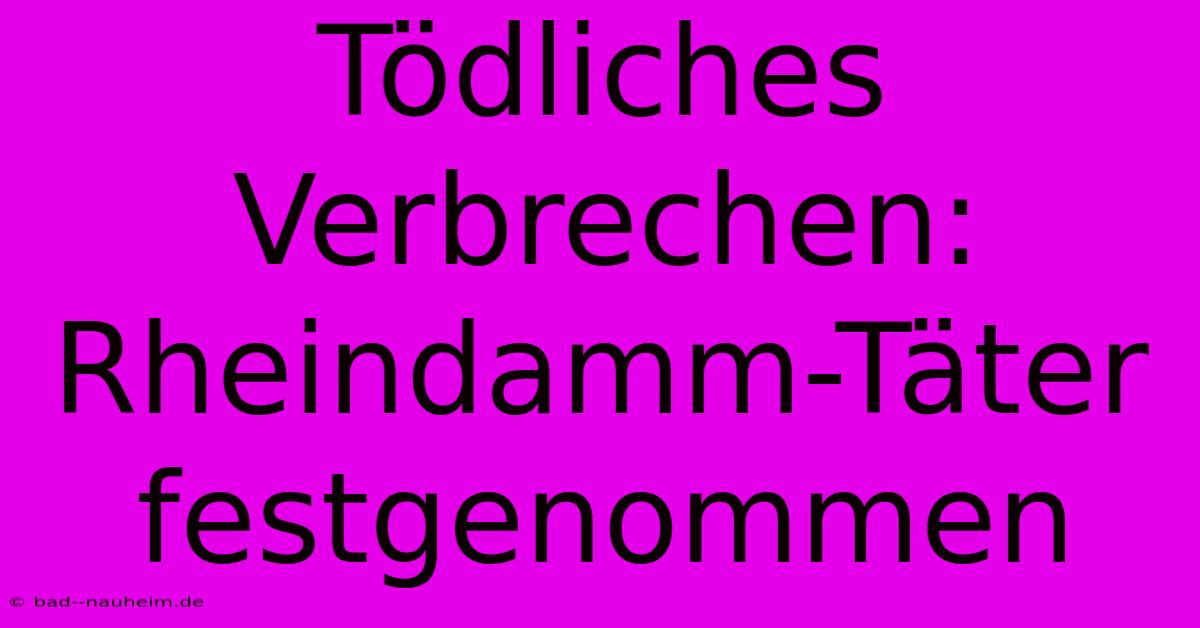 Tödliches Verbrechen: Rheindamm-Täter Festgenommen