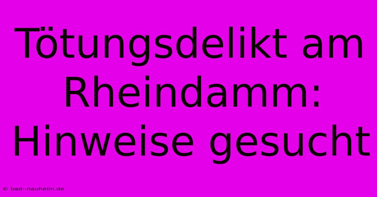 Tötungsdelikt Am Rheindamm: Hinweise Gesucht