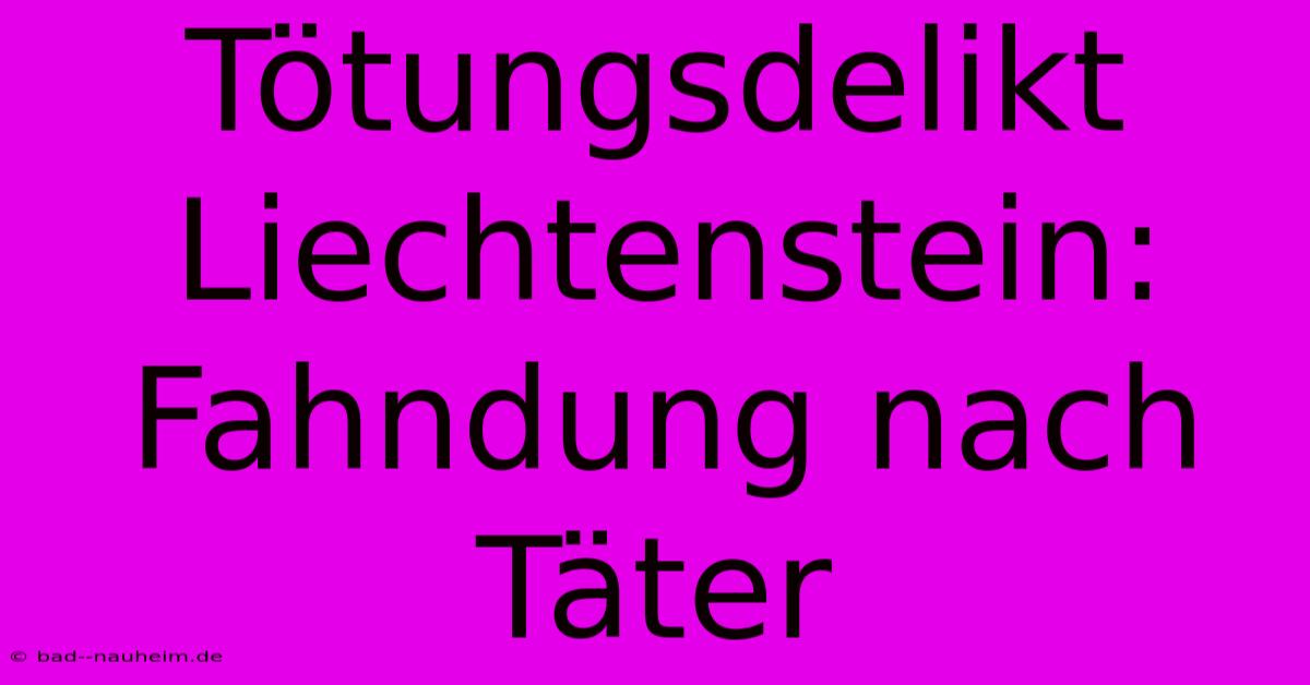 Tötungsdelikt Liechtenstein: Fahndung Nach Täter