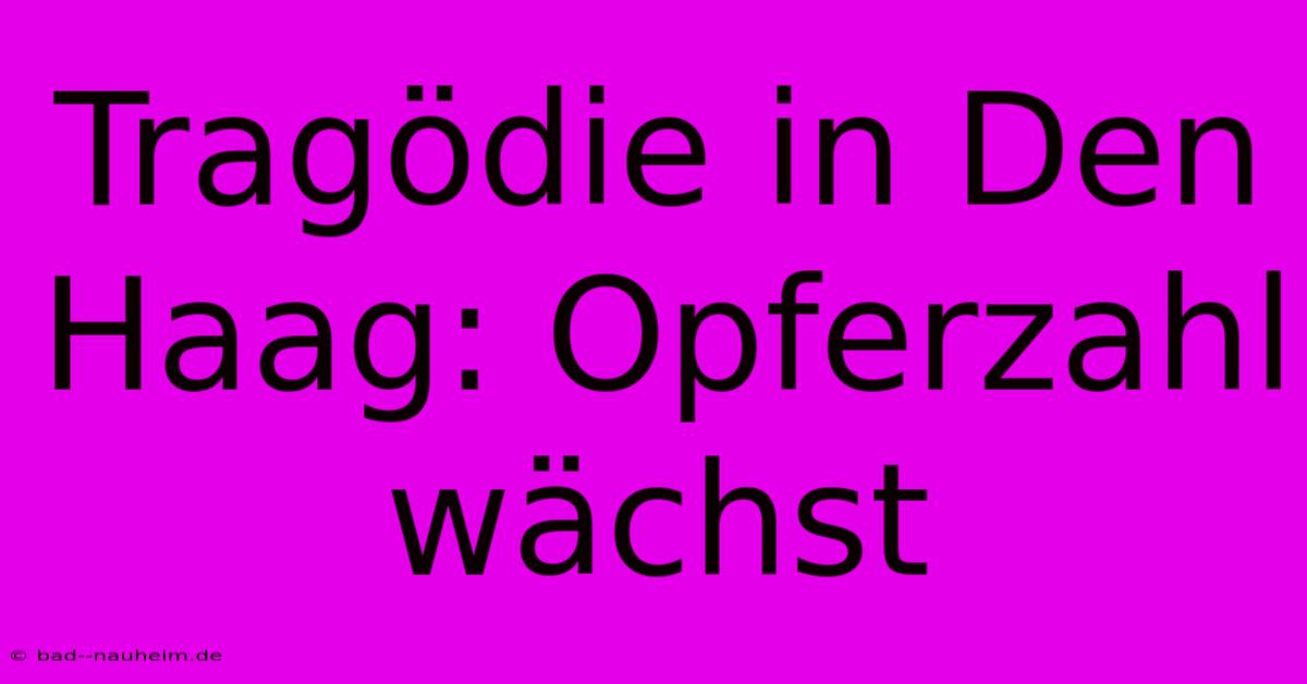 Tragödie In Den Haag: Opferzahl Wächst