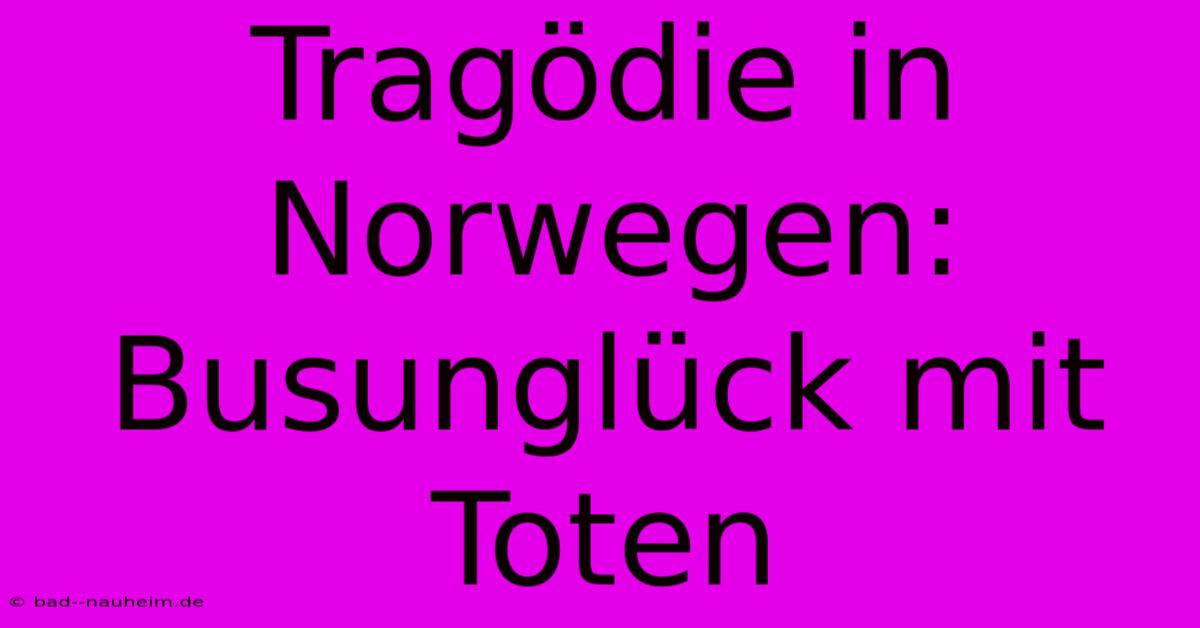 Tragödie In Norwegen: Busunglück Mit Toten