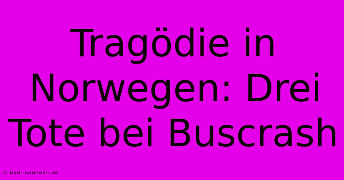 Tragödie In Norwegen: Drei Tote Bei Buscrash