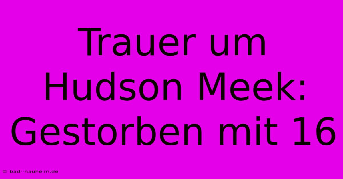 Trauer Um Hudson Meek: Gestorben Mit 16