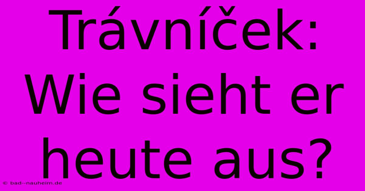 Trávníček:  Wie Sieht Er Heute Aus?