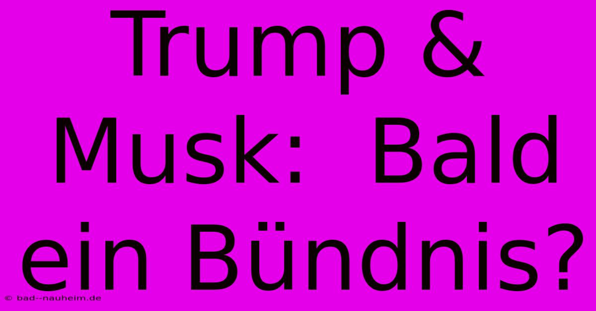 Trump & Musk:  Bald Ein Bündnis?