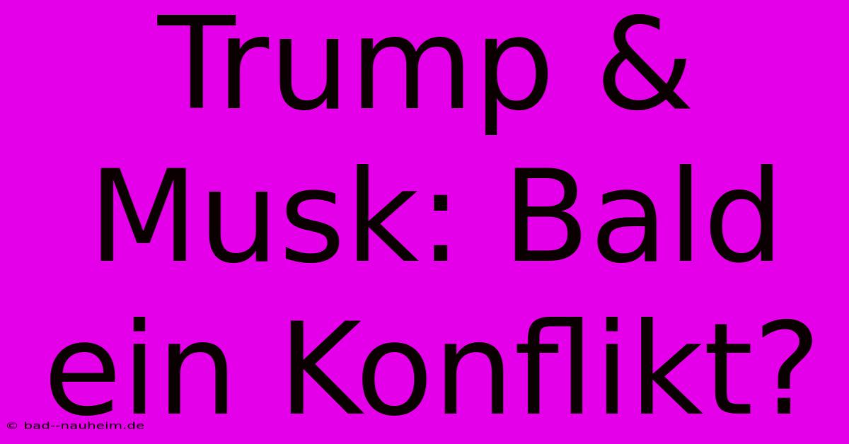 Trump & Musk: Bald Ein Konflikt?