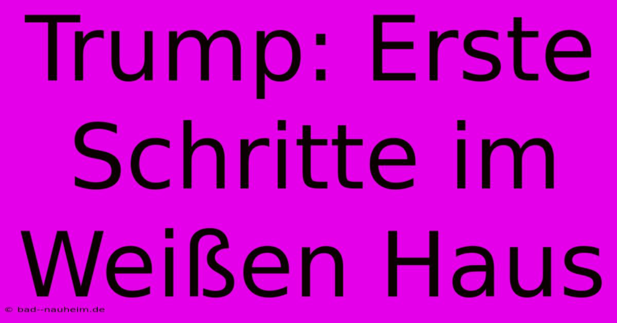 Trump: Erste Schritte Im Weißen Haus