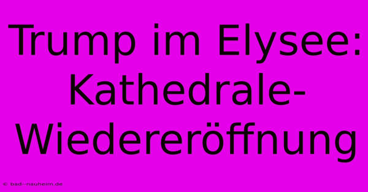 Trump Im Elysee: Kathedrale-Wiedereröffnung