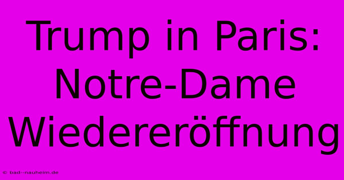 Trump In Paris: Notre-Dame Wiedereröffnung