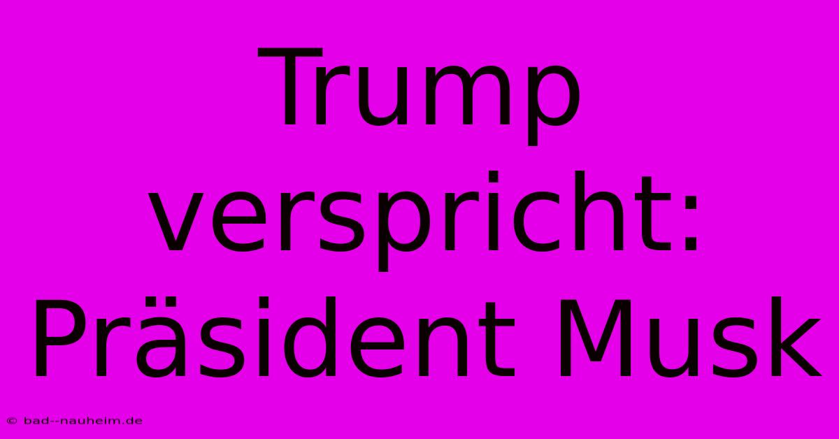 Trump Verspricht: Präsident Musk