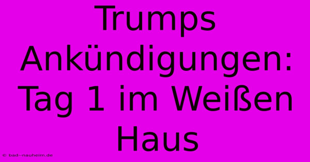 Trumps Ankündigungen: Tag 1 Im Weißen Haus