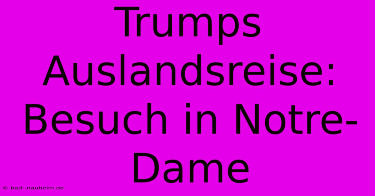 Trumps Auslandsreise: Besuch In Notre-Dame