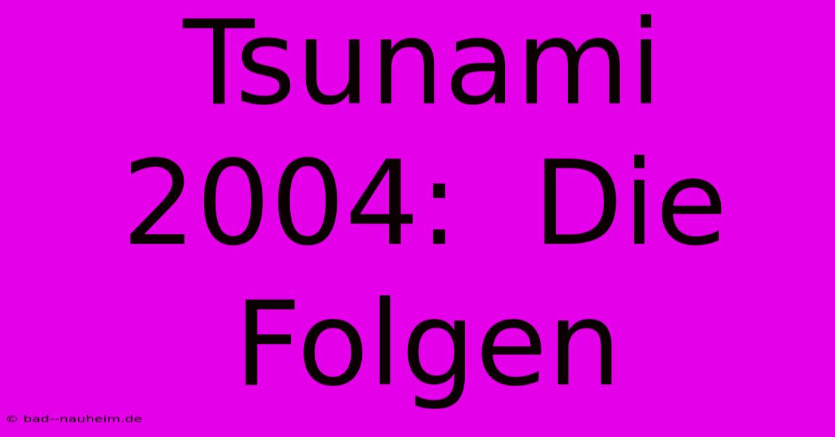 Tsunami 2004:  Die Folgen