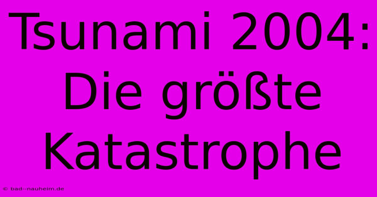 Tsunami 2004: Die Größte Katastrophe