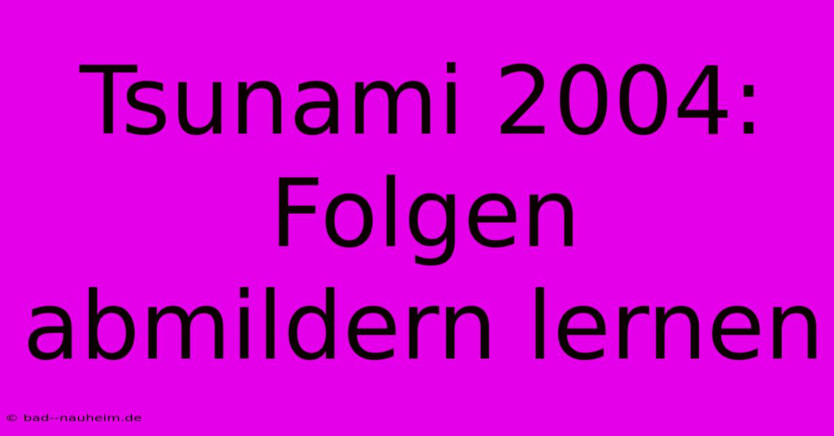 Tsunami 2004:  Folgen Abmildern Lernen