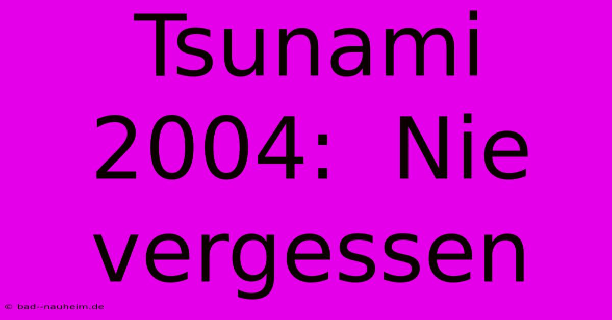 Tsunami 2004:  Nie Vergessen