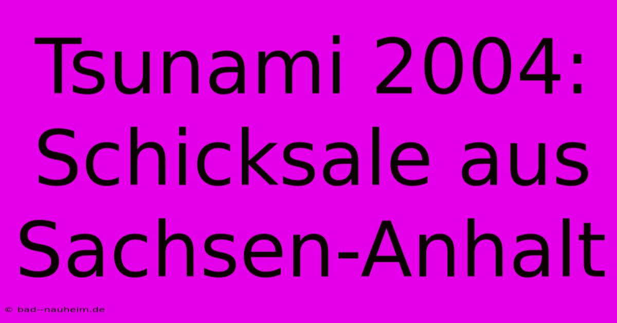 Tsunami 2004: Schicksale Aus Sachsen-Anhalt