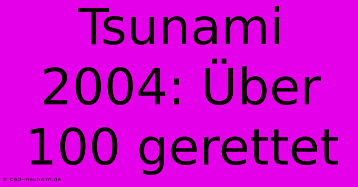 Tsunami 2004: Über 100 Gerettet