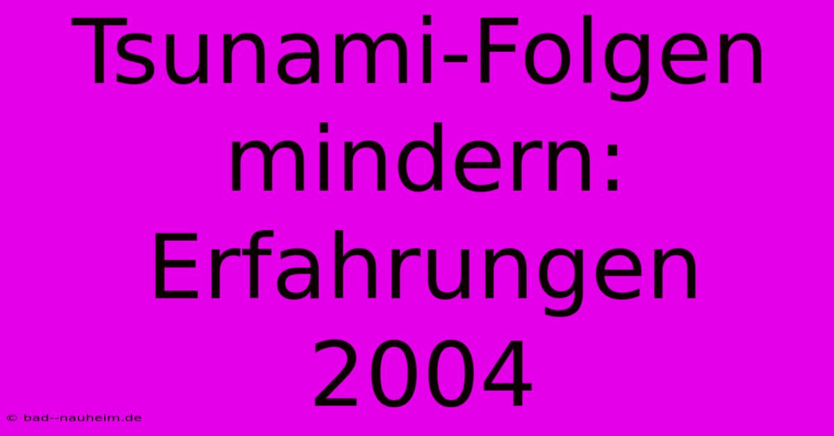 Tsunami-Folgen Mindern: Erfahrungen 2004