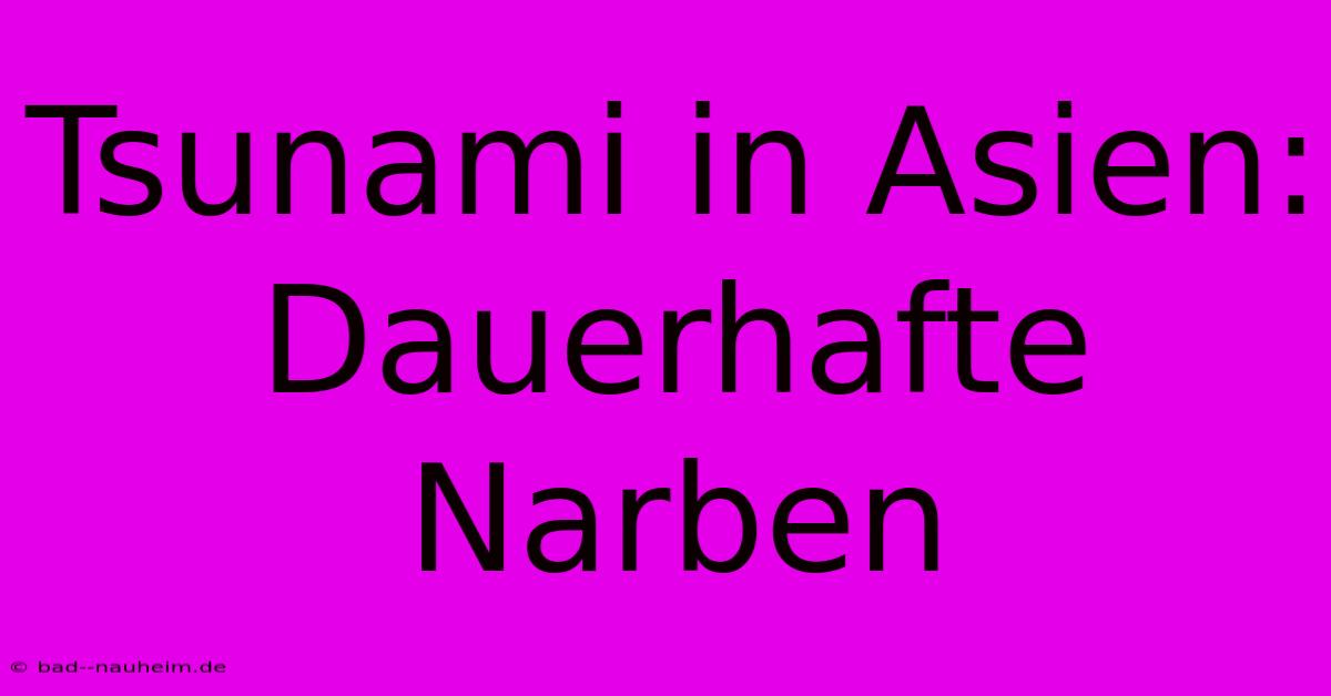 Tsunami In Asien:  Dauerhafte Narben