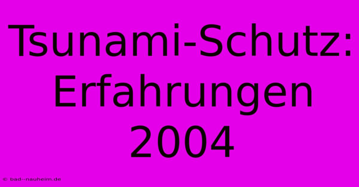 Tsunami-Schutz:  Erfahrungen 2004