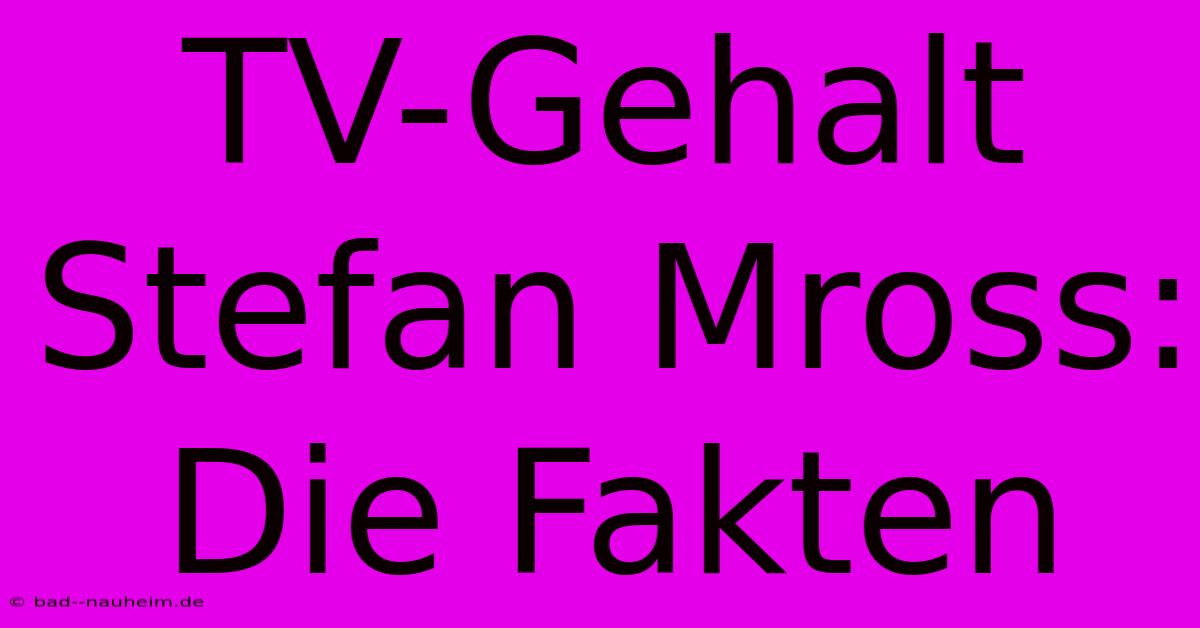 TV-Gehalt Stefan Mross: Die Fakten