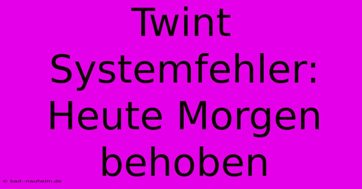 Twint Systemfehler: Heute Morgen Behoben