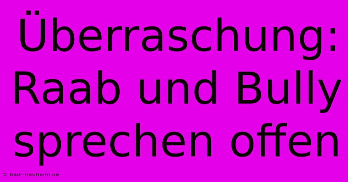 Überraschung: Raab Und Bully Sprechen Offen