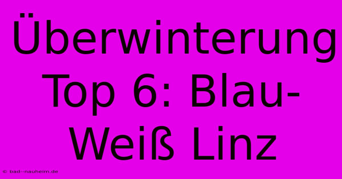 Überwinterung Top 6: Blau-Weiß Linz